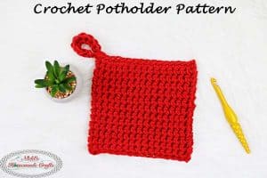 25+ Quick & Easy 30 Minute Crochet Projects for Beginners - Nicki's ...