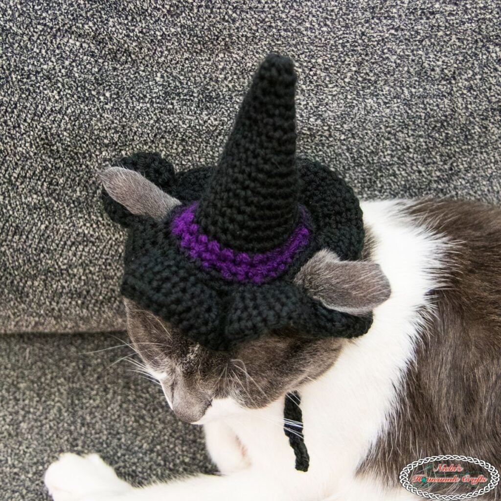 Cat Witch Hat Crochet Pattern - Square