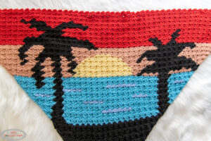 Free Sunset C2C Crochet Shawl Pattern - Nicki's Homemade Crafts