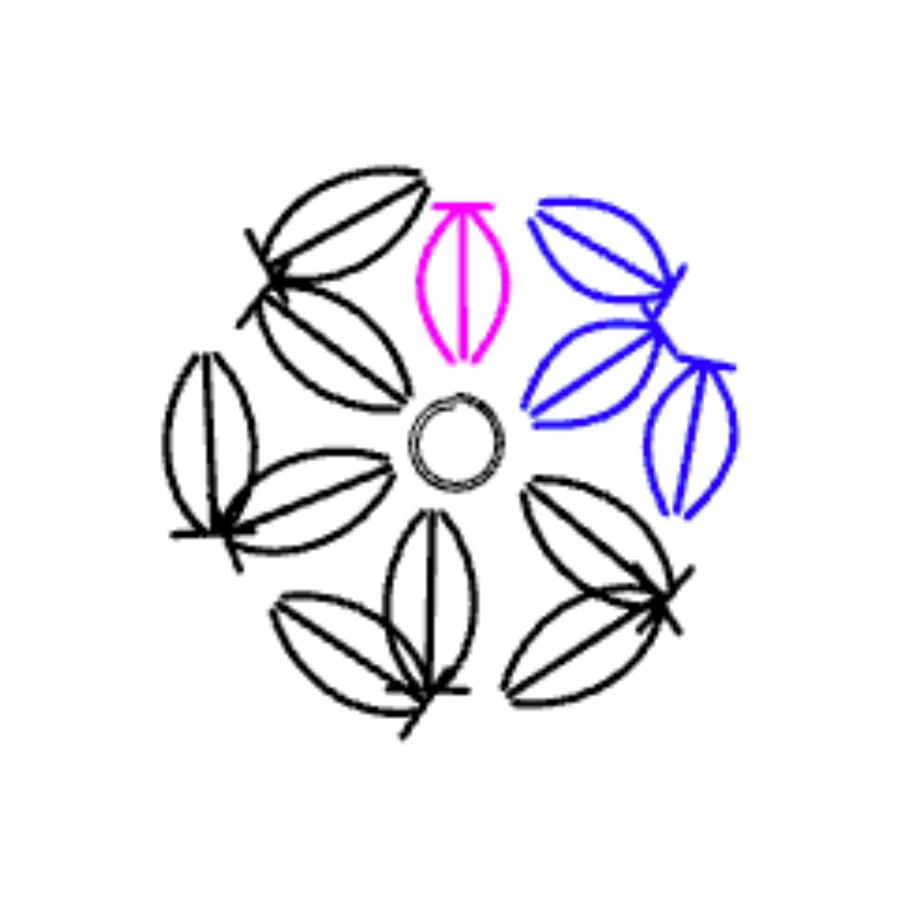 Step 1 of the crochet Jasmine Stitch Tutorial. Chart shows 6 outside puffs.
