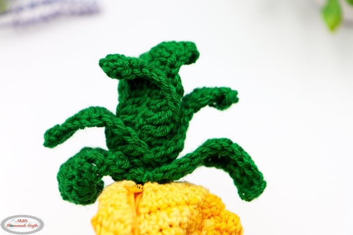 Pineapple Leaves - Crochet Reversible Fruit Bunny Amigurumi Plush with Zipper Pattern