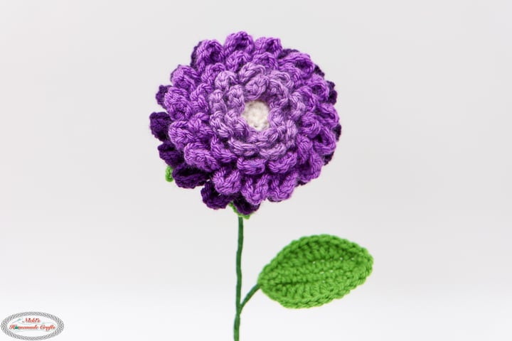 Crochet Dahlia Flower Pattern