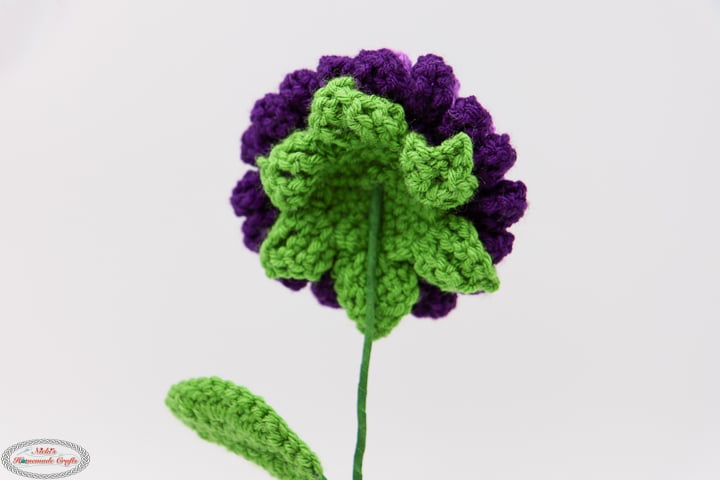 Backside Crochet Dahlia Flower Pattern